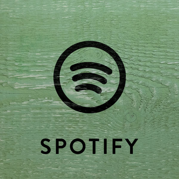 Zur Spotify Seite von AnnenMayKantereit